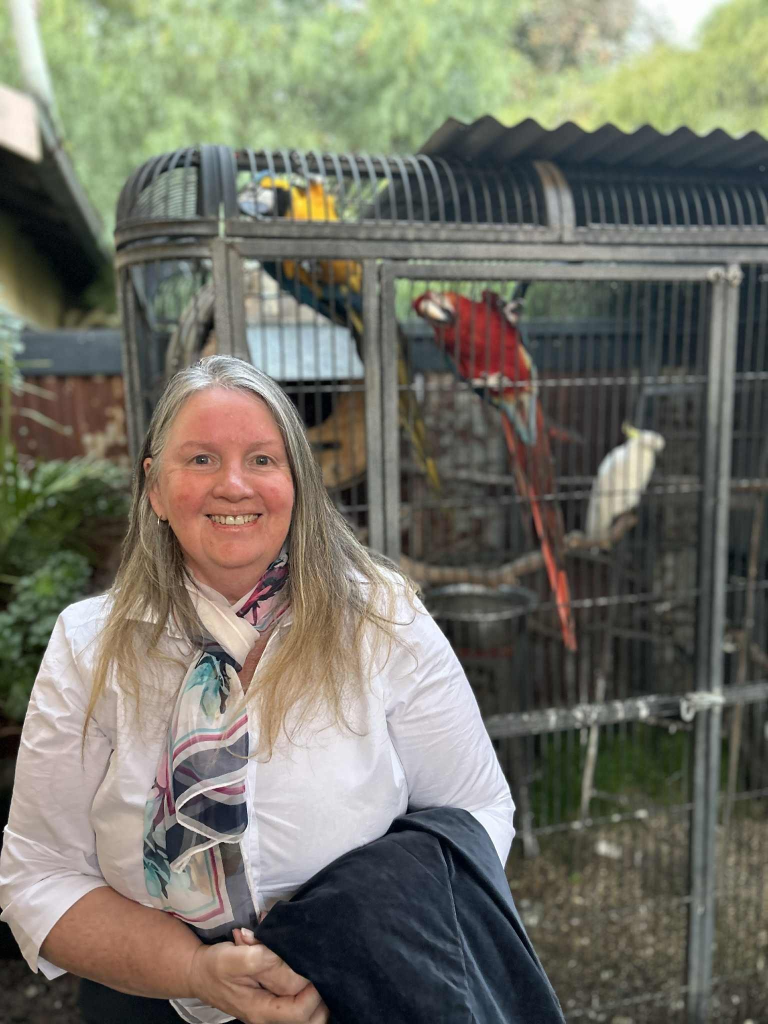 Podcast Guest - Image